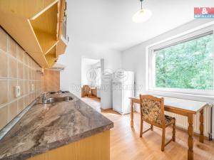 Pronájem bytu 1+1, Praskolesy, 30 m2