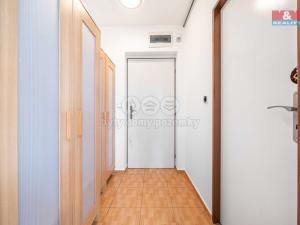 Pronájem bytu 1+1, Praskolesy, 30 m2