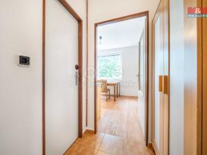 Pronájem bytu 1+1, Praskolesy, 30 m2