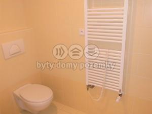Pronájem bytu 1+kk, Beroun - Beroun-Centrum, Palackého, 35 m2