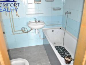 Prodej apartmánu, Loužnice, 561 m2