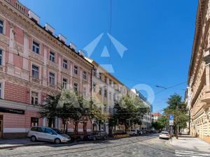Pronájem bytu 2+1, Praha - Vinohrady, Šafaříkova, 75 m2
