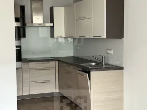 Pronájem bytu 2+kk, Plzeň, Vstupní, 53 m2