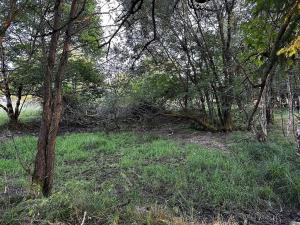 Dražba pozemku pro bydlení, Nová Ves, 6642 m2