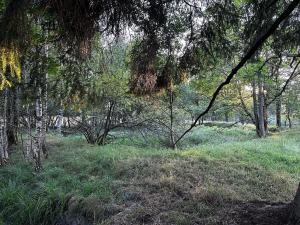 Dražba pozemku pro bydlení, Nová Ves, 6642 m2