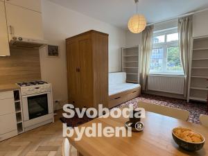 Pronájem bytu 1+kk, Praha - Břevnov, Nad Závěrkou, 25 m2