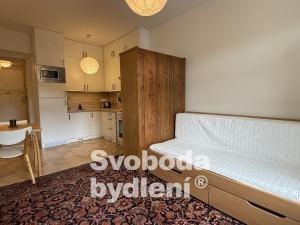 Pronájem bytu 1+kk, Praha - Břevnov, Nad Závěrkou, 25 m2