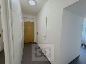 Pronájem bytu 2+1, Praha - Žižkov, Pod lipami, 53 m2