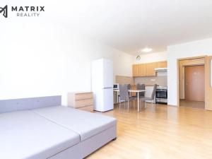 Pronájem bytu 1+kk, Praha - Řeporyje, Wiesenthalova, 42 m2