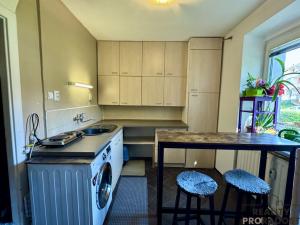 Prodej bytu 1+1, Blansko, 9. května, 28 m2