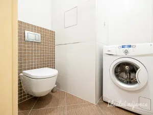 Pronájem bytu 2+kk, Praha - Žižkov, Olšanská, 69 m2