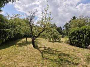 Prodej pozemku pro bydlení, Praha - Újezd nad Lesy, 633 m2