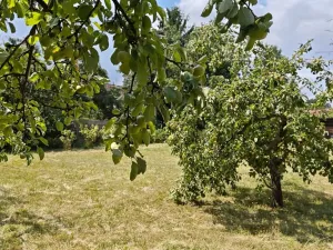 Prodej pozemku pro bydlení, Praha - Újezd nad Lesy, 700 m2