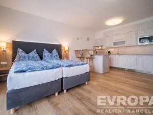 Prodej bytu 1+kk, Lipno nad Vltavou, 42 m2