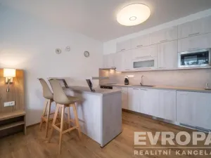 Prodej bytu 1+kk, Lipno nad Vltavou, 42 m2