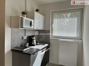 Pronájem bytu 1+kk, Kačice, K zahradě, 18 m2