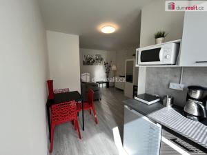 Pronájem bytu 1+kk, Kačice, K zahradě, 18 m2