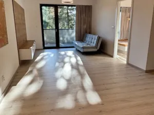 Pronájem bytu 2+kk, Hradec Králové, Pálenecká, 55 m2