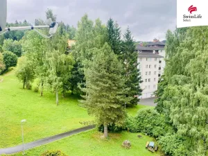 Prodej bytu 1+1, Rokytnice nad Jizerou - Horní Rokytnice, 37 m2