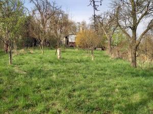 Prodej zahrady, Bořenovice, 1400 m2