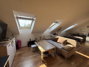 Pronájem bytu 1+kk, České Budějovice - České Budějovice 3, Lipenská, 42 m2