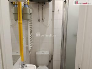 Pronájem bytu 1+kk, Praha - Vršovice, Na spojce, 21 m2