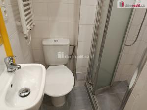 Pronájem bytu 1+kk, Praha - Vršovice, Na spojce, 21 m2