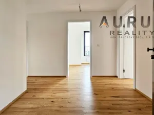 Pronájem bytu 4+kk, Praha - Nusle, Bělehradská, 130 m2