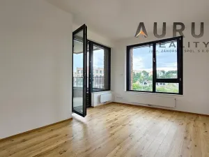 Pronájem bytu 4+kk, Praha - Nusle, Bělehradská, 130 m2