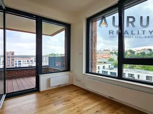 Pronájem bytu 4+kk, Praha - Nusle, Bělehradská, 130 m2