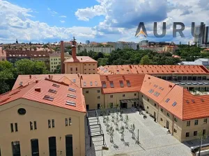 Pronájem bytu 4+kk, Praha - Nusle, Bělehradská, 130 m2