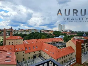 Pronájem bytu 4+kk, Praha - Nusle, Bělehradská, 130 m2