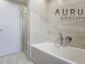 Pronájem bytu 4+kk, Praha - Nusle, Bělehradská, 130 m2