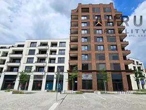 Pronájem bytu 4+kk, Praha - Nusle, Bělehradská, 130 m2