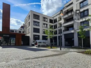 Pronájem bytu 4+kk, Praha - Nusle, Bělehradská, 130 m2