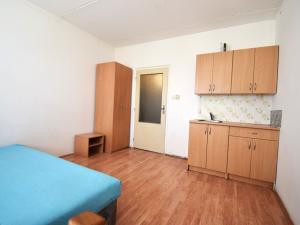 Pronájem bytu 1+kk, Plzeň - Severní Předměstí, Strážnická, 19 m2