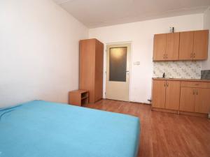 Pronájem bytu 1+kk, Plzeň - Severní Předměstí, Strážnická, 19 m2