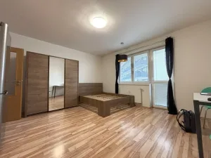 Pronájem bytu 1+kk, Plzeň - Jižní Předměstí, Goldscheiderova, 30 m2