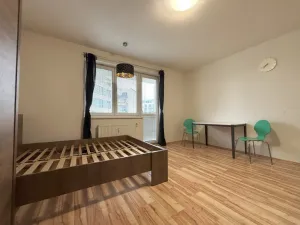 Pronájem bytu 1+kk, Plzeň - Jižní Předměstí, Goldscheiderova, 30 m2