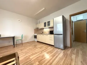 Pronájem bytu 1+kk, Plzeň - Jižní Předměstí, Goldscheiderova, 30 m2