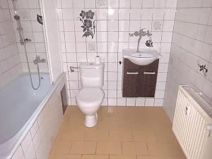 Pronájem bytu 1+1, Cheb, Svatopluka Čecha, 48 m2