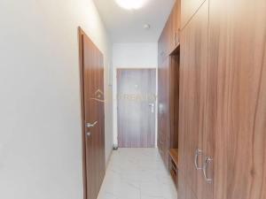 Pronájem bytu 1+kk, Olomouc, tř. Míru, 36 m2