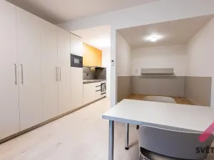 Pronájem bytu 1+kk, Praha - Žižkov, Hartigova, 34 m2