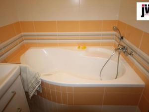 Pronájem bytu 1+kk, Plzeň, U Borských kasáren, 42 m2