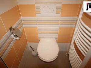 Pronájem bytu 1+kk, Plzeň, U Borských kasáren, 42 m2