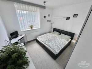 Prodej rodinného domu, Sazená, 210 m2