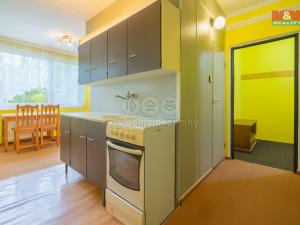 Prodej bytu 1+1, Netolice, Hornická, 44 m2