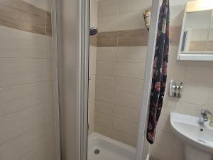 Pronájem bytu 2+kk, Plzeň, Čechova, 42 m2