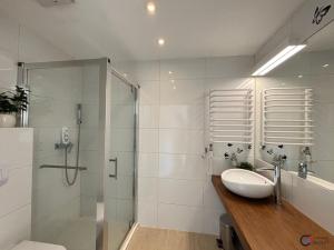 Prodej apartmánu, Dolní Morava, 27 m2