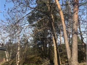 Prodej pozemku pro bydlení, Stříbřec, 439 m2